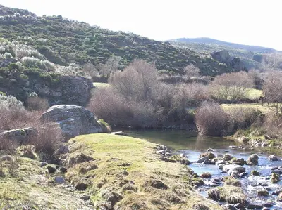 Paisaje cerca of this country house