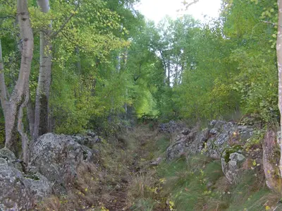 Paisaje cerca of this country house