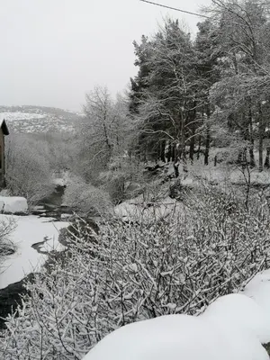 El Cerrillo II en invierno