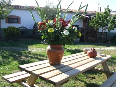 Jardín al aire libre en La Tierra Verde Casita