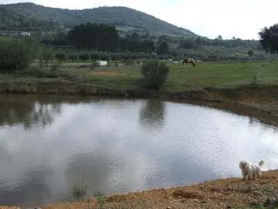 Paisaje cerca de esta casa o chalet