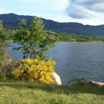 Paisaje cerca de este apartamento