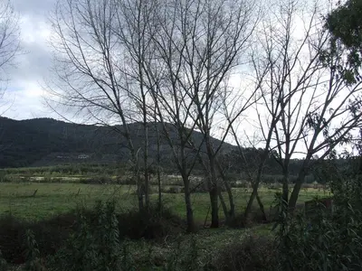 Paisaje cerca of this country house