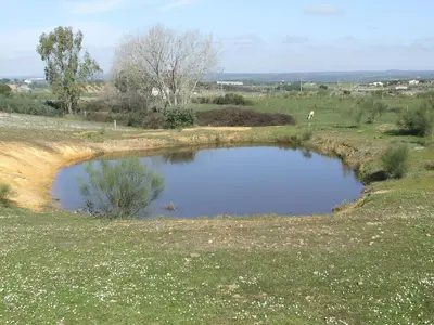 Paisaje cerca of this country house