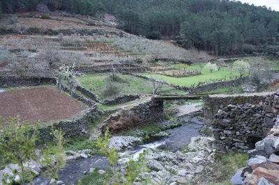 Paisaje cerca of this country house