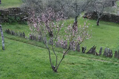 Jardín al aire libre en Casa Zambrana