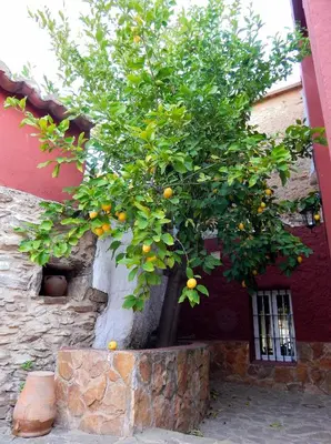 Edificio en el que se encuentra la casa o chalet