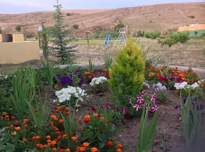 Jardín al aire libre en Vivienda de uso turístico La Vega de Vita