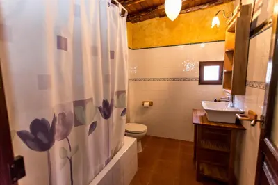 Un baño de El castanar