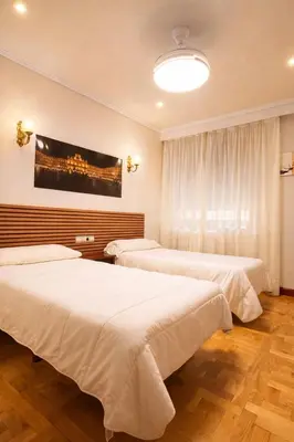 Cama o camas de una habitación en Hotel Castellano I