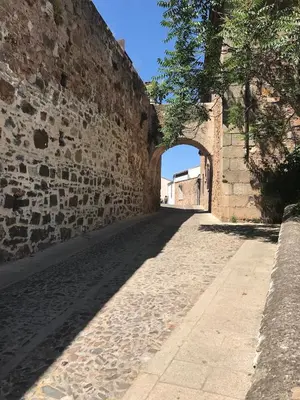 Plano de Serendipia