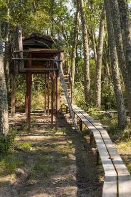 Plano de Eco-Lodge en la Reserva Privada Campanarios de Azaba - Proyecto de Conservación