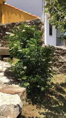 Jardín al aire libre en Casa Sierra de Gredos