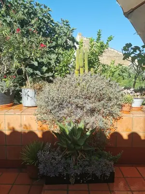 Jardín al aire libre en Casa Batalla