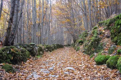 Paisaje cerca of this country house