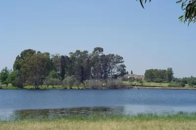 Paisaje cerca of this country house