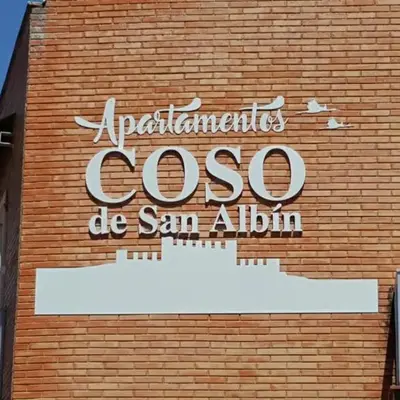 Apartamentos Coso de San Albin