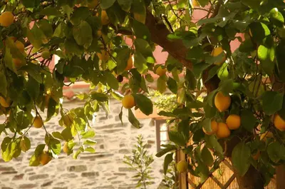 Jardín al aire libre en Casa Rural El Arco