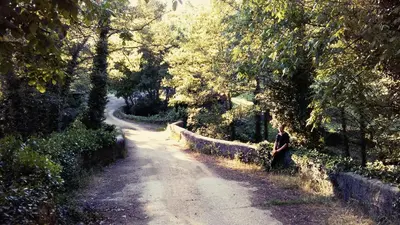 Paisaje cerca de este hostal o pensión