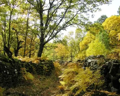 Paisaje cerca de este apartamento