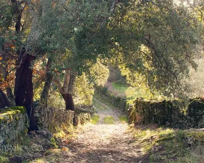 Jardín al aire libre en Apartamento JALAMA 2B