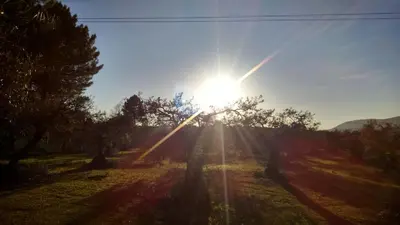 Paisaje cerca de este apartamento