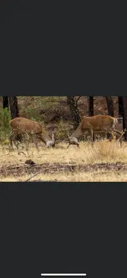 Plano de Sueños de Monfrague