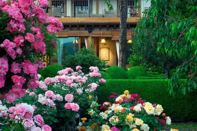 Jardín al aire libre en El Jardín del Convento, Casa Rural