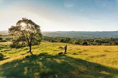 Paisaje cerca of this country house