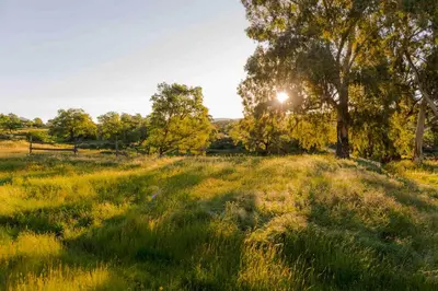 Paisaje cerca of this country house