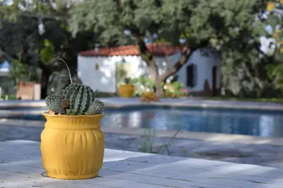 Piscina en o cerca de Casa Rural La Coscoja