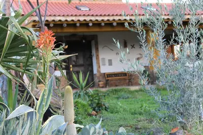 Jardín al aire libre en Casa Rural La Coscoja