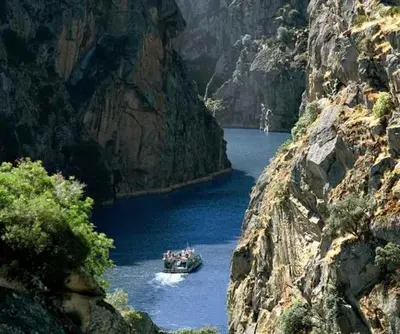 Paisaje cerca of this country house