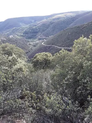 Paisaje cerca de esta casa o chalet