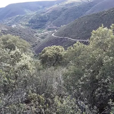 Casa Rural Costanilla