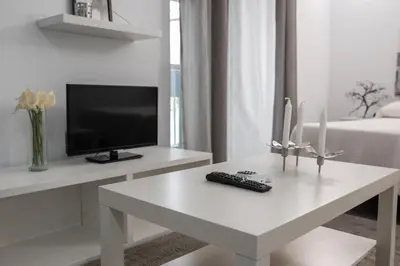 Una televisión o centro de entretenimiento en Apartamentos Turísticos Domus Seleqtia Plaza Mayor