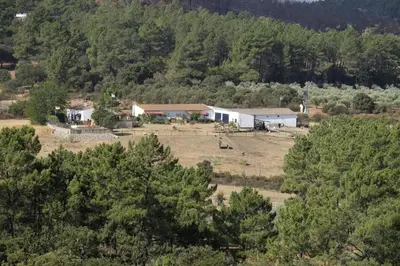 Paisaje cerca of this country house