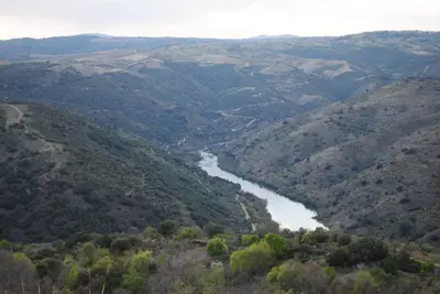 Paisaje cerca of this country house