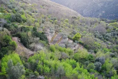 Paisaje cerca of this country house