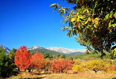 Paisaje cerca de este apartamento