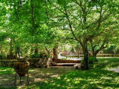 Jardín al aire libre en Puerto Roque Turismo Rural