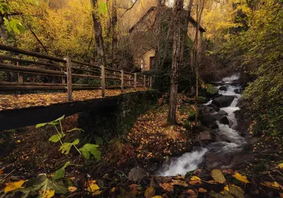 Paisaje cerca of this country house