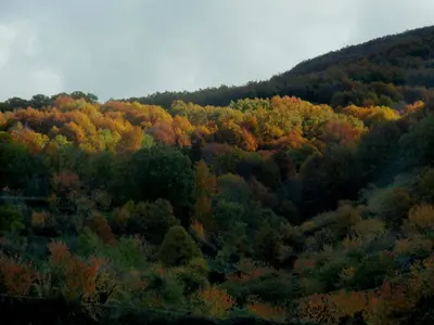 Paisaje cerca of this country house