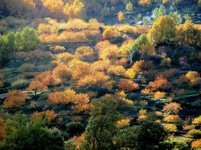 Paisaje cerca of this country house