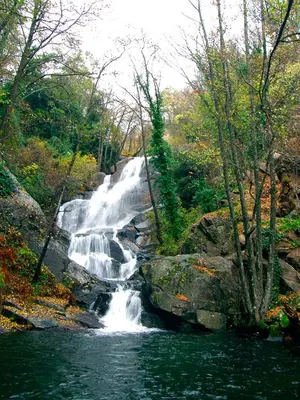Paisaje cerca of this country house