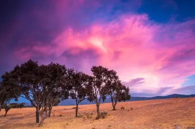 Paisaje cerca de este apartamento