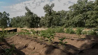 Jardín al aire libre en El Paso de las Cigüeñas