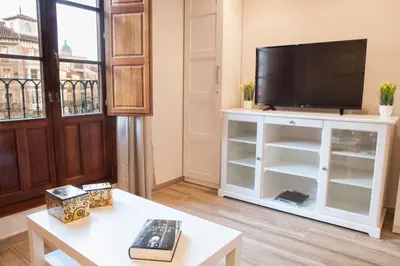 Una televisión o centro de entretenimiento en Apartamentos Boutique Salamanca