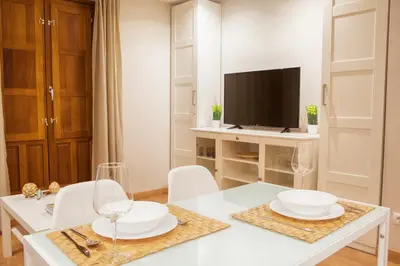 Una televisión o centro de entretenimiento en Apartamentos Boutique Salamanca