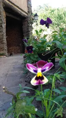 Jardín al aire libre en Los Balcones del Río
